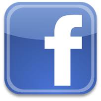 Facebook Blue Metro icon